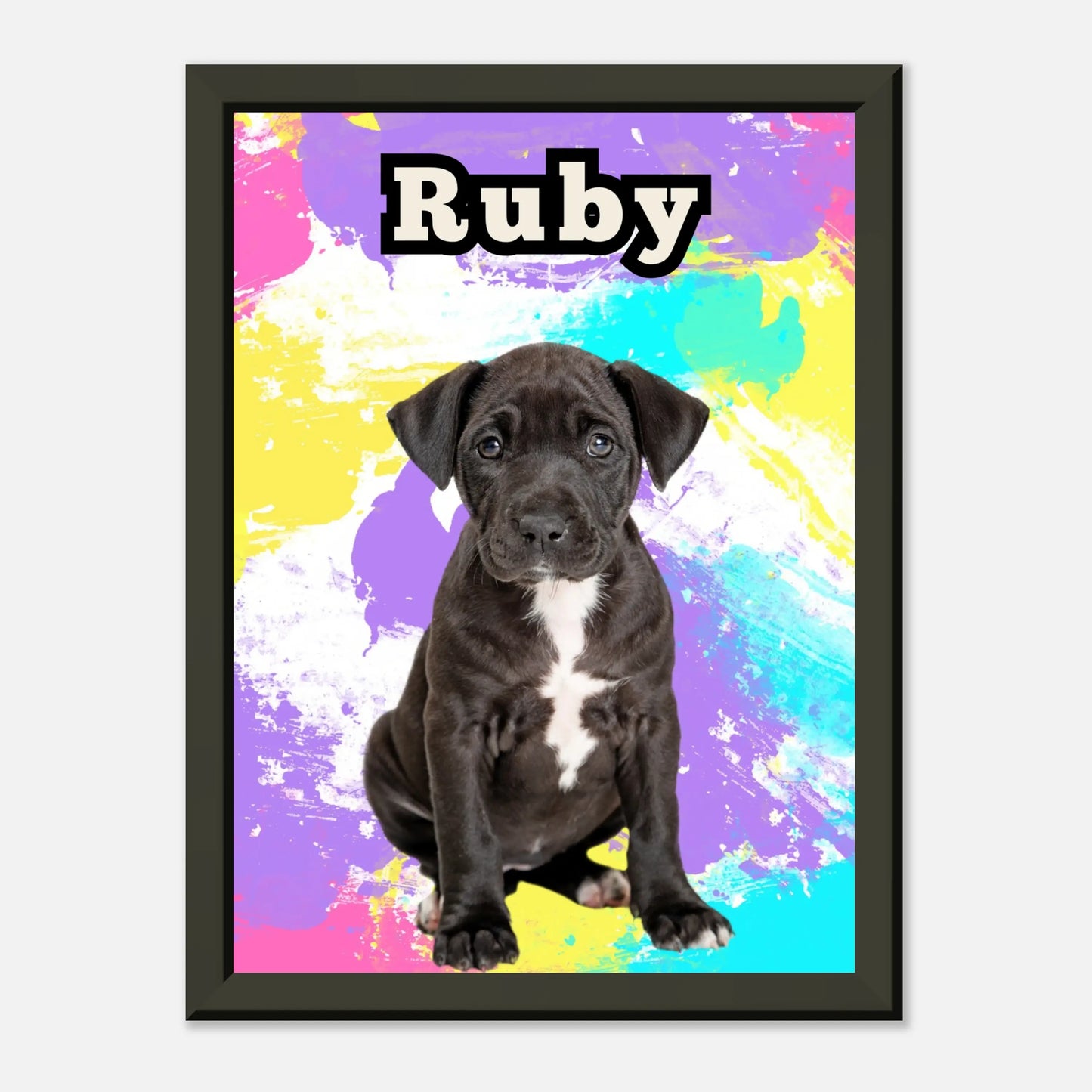 Colour Splash - Custom Pet Portrait 67