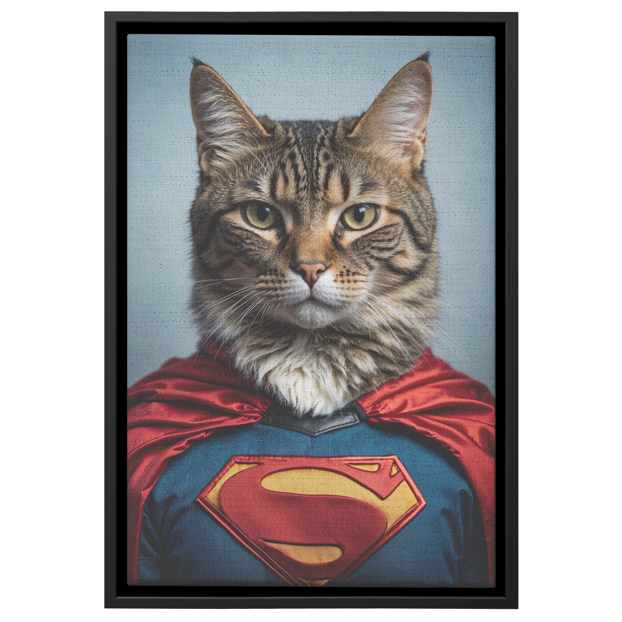 Super Whiskers - Framed Canvas